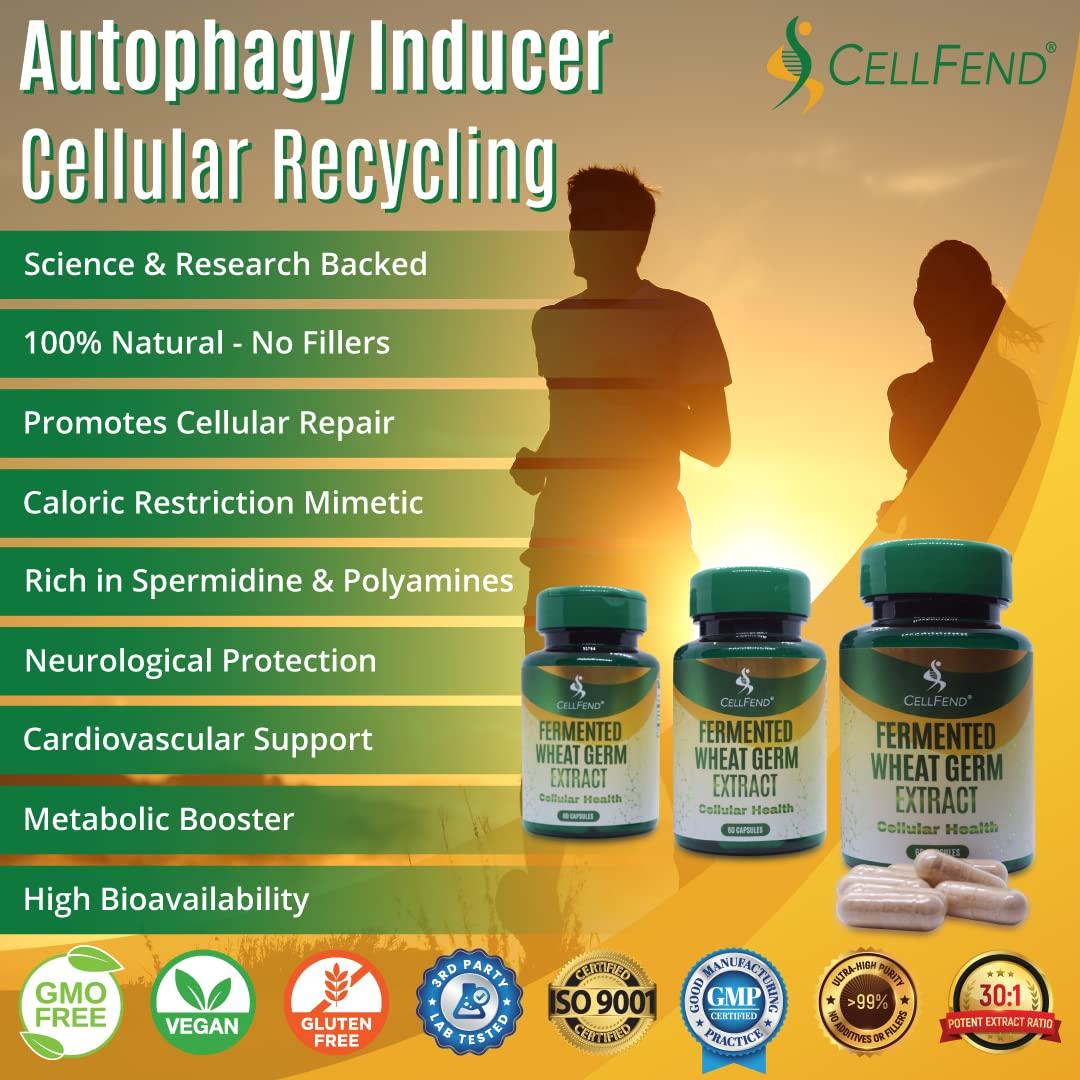 CellFend Fermented Wheat Germ Extract - Cellular Health - Autophagy Inducer - Potent 30:1 Extract - 60 Vegan Capsules (500mg)