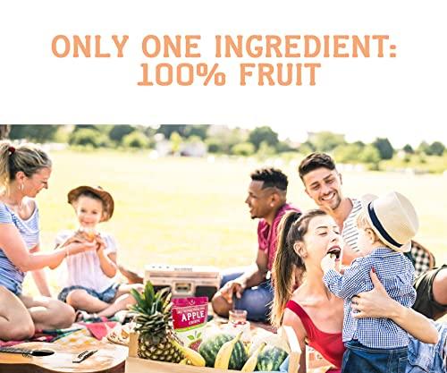 Nature\'s Turn Natures Turn Freeze-Dried Fruit Snacks, Superfruit Variety, Pack of 8 (0.53 oz Each)