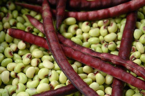 CaribbeanGarden 2 ozs Speckled Purplehull (Southern) Peas,Great Flavor, Shell pea