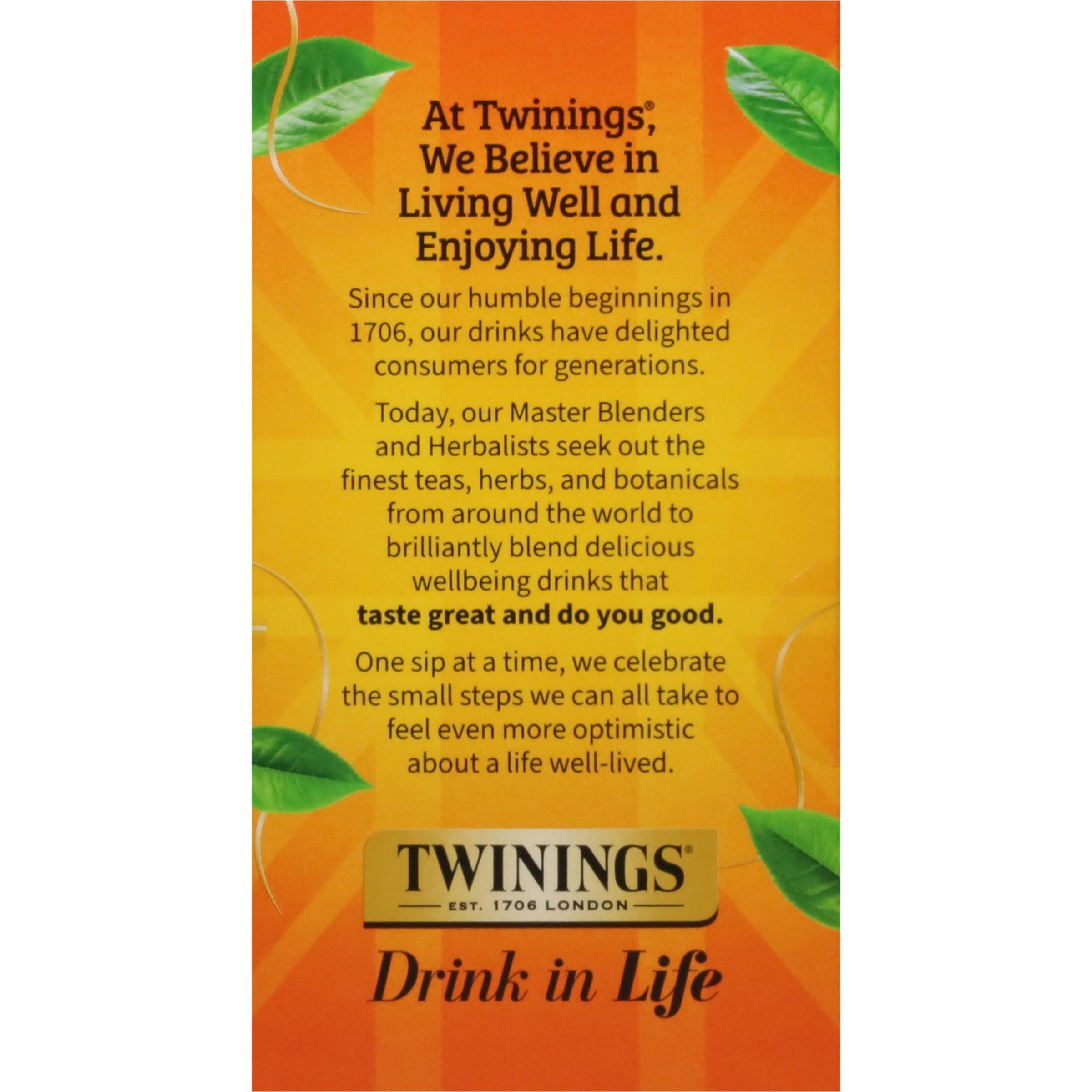 Twinings Twinings Winter Tea Collection, Limited Edition Holiday Gift Box, 20 Count (Pack of 3), Includes Christmas Tea, Winter Spice, and Gingerbread Joy, Enjoy Hot or Iced