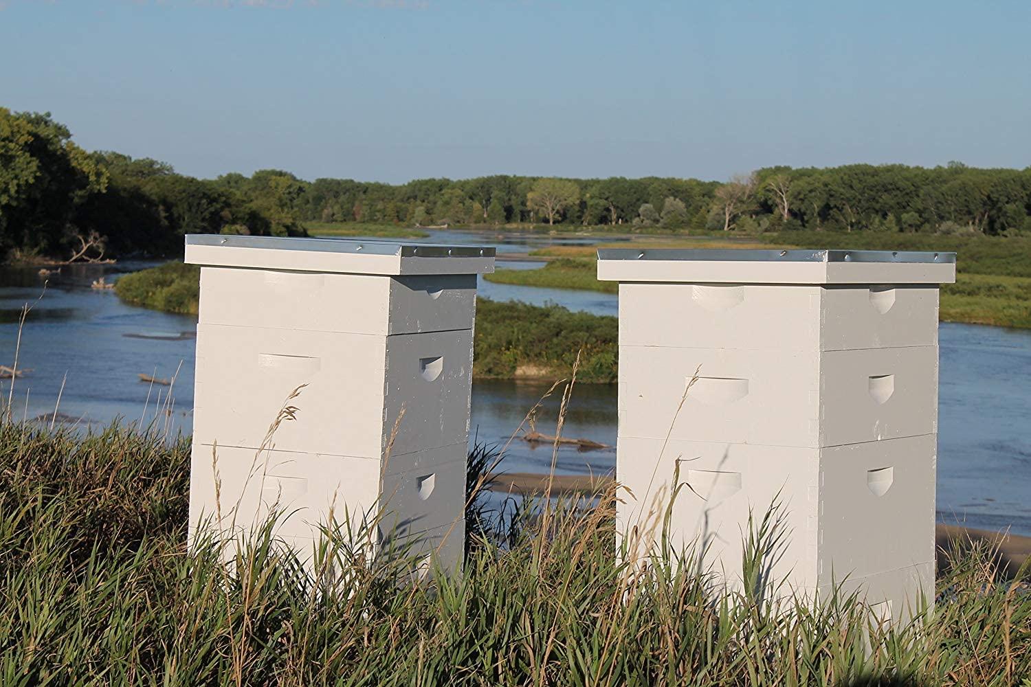 Prairie River Honey Farm Pure Royal Jelly 5 oz Jar (142 Grams of Pure Royal Jelly)