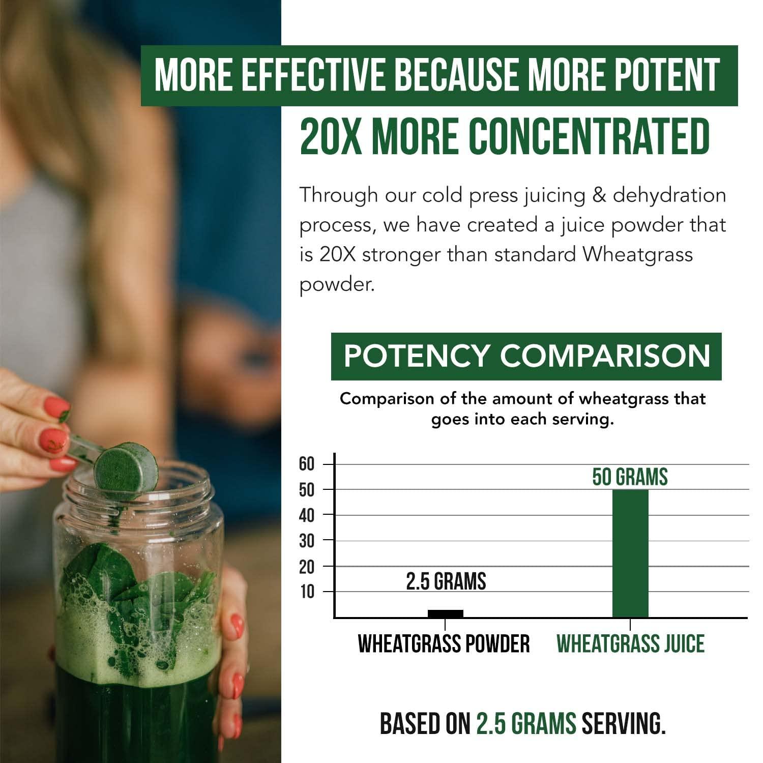 Triquetra Health Organic Wheatgrass Juice Powder - Organically Grown in Volcanic Soil of Utah - Raw & BioActive Form, Cold-Pressed Then CO2 Dried, 20:1 Super Concentrate - Lemon (6.2 oz - 60 Servings)