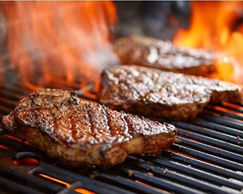 Pegasus Premium Brands Pegasus Premium Variety Pack - Weber American BBQ Seasoning 9.1oz (2-Pack) and Pegasus Premium Brands 3-Step Lid Cover