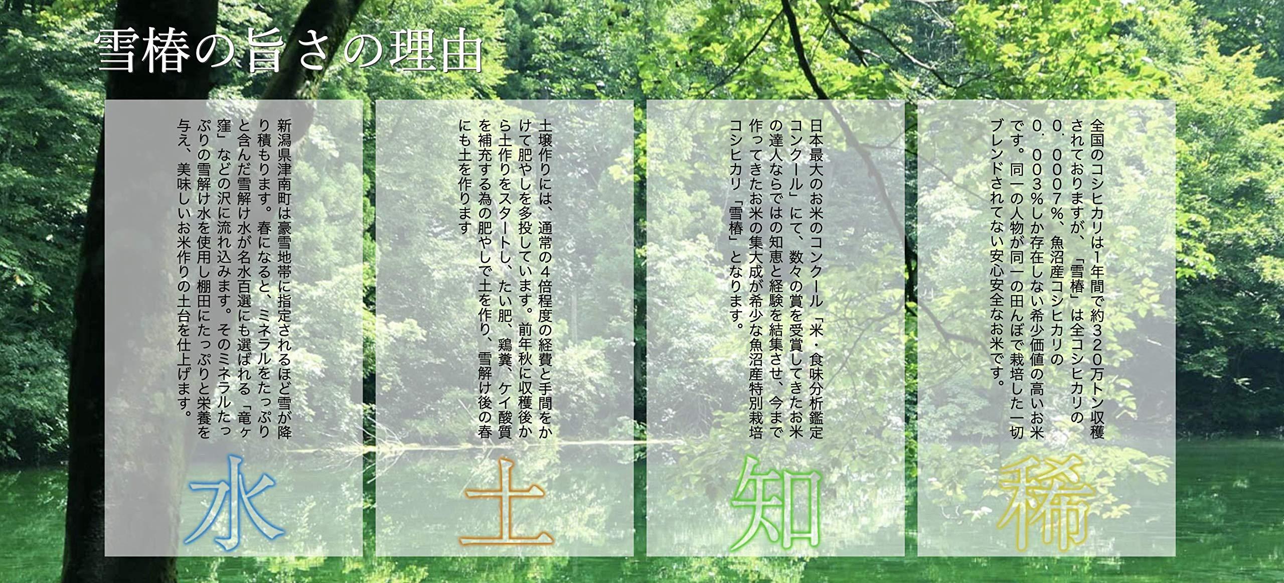 Yuki Tsubaki Japanese Extremely Rare, Ultra Premium, Uonuma, Yuki Tsubaki Koshihikari White Rice, 11 Pound / 5Kg (2)