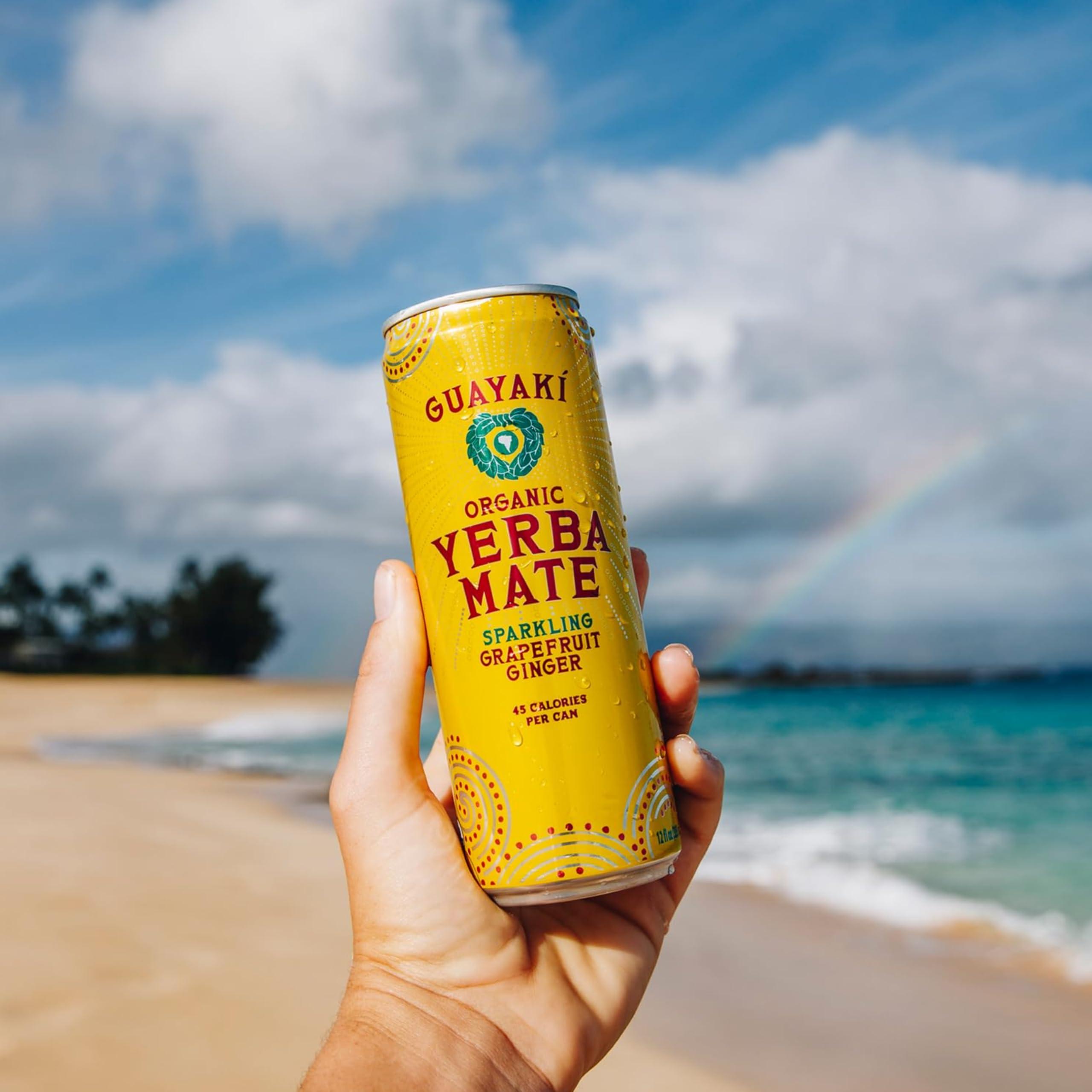 Guayaki Guayak Organic Yerba Mate Clean Energy Drink Alternative Bundle, Cranberry Pomegranate & Grapefruit Ginger Flavors, 12 Oz (Pack of 24), 80mg Natural Caffeine, Smooth Energy & Focus