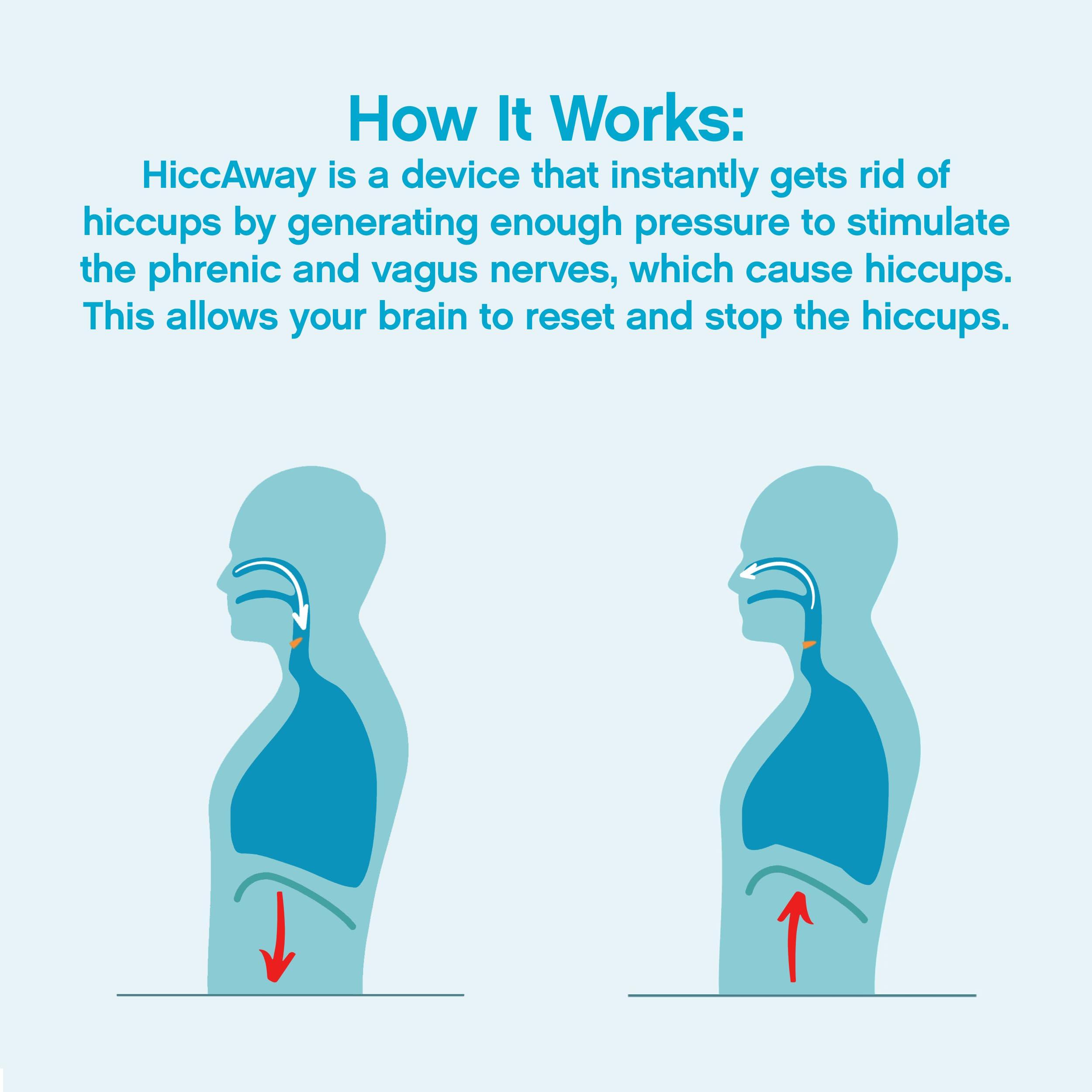 Orchard Hill [Pack of 5] [Free Measuring Spoon] Little Sheep Hotpot Soup Base 5 Flavor Variety Pack (Plain, Hot, Mala Spicy, Mushroom, Big Bone Broth) (, , , , )
