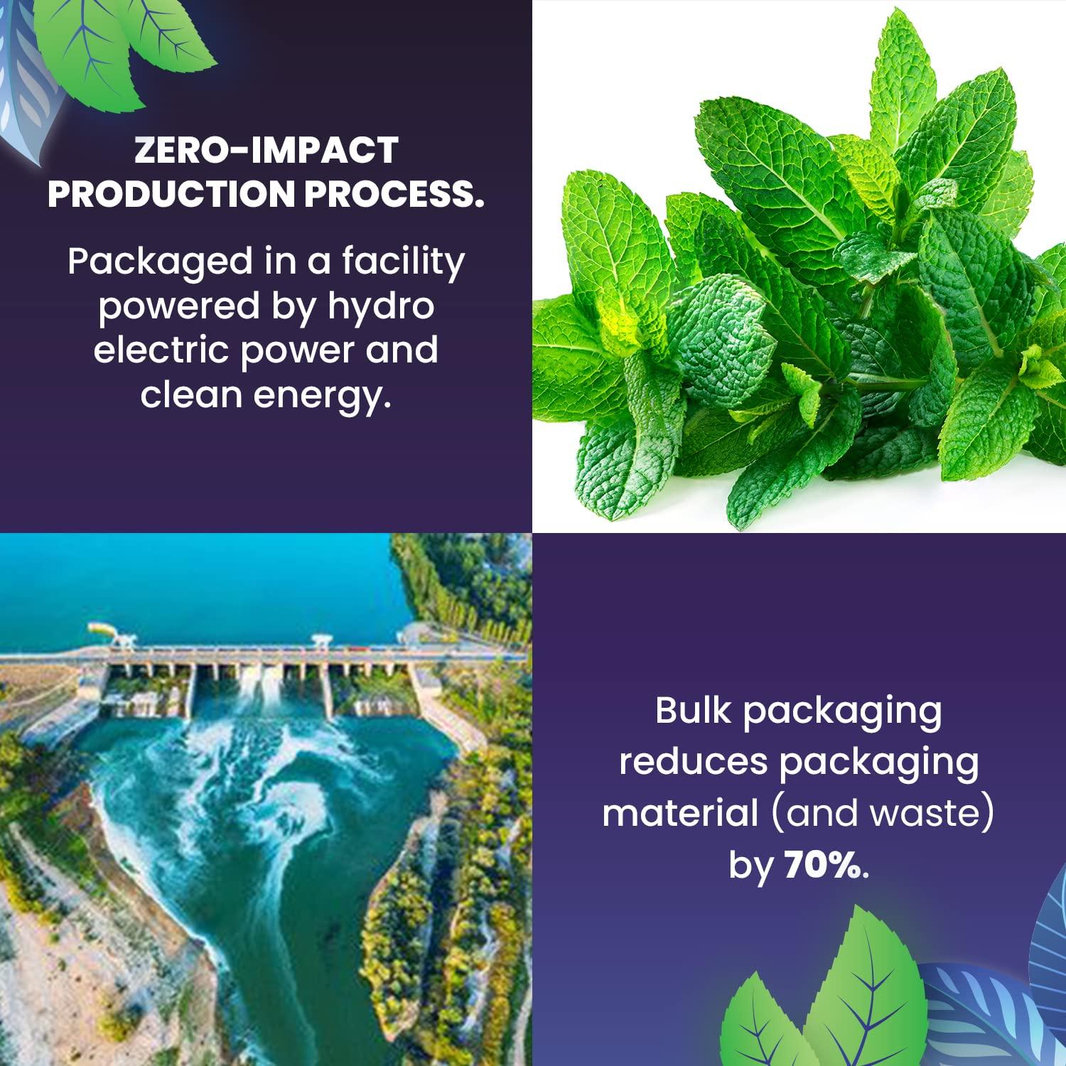 Cederberg Tea Company Organic Spearmint Herbal Tea 100 Tea Bags | Grown in USA | Eco-Friendly Tea Bags | Non-GMO Caffeine Free Tea | Cederberg Tea Company