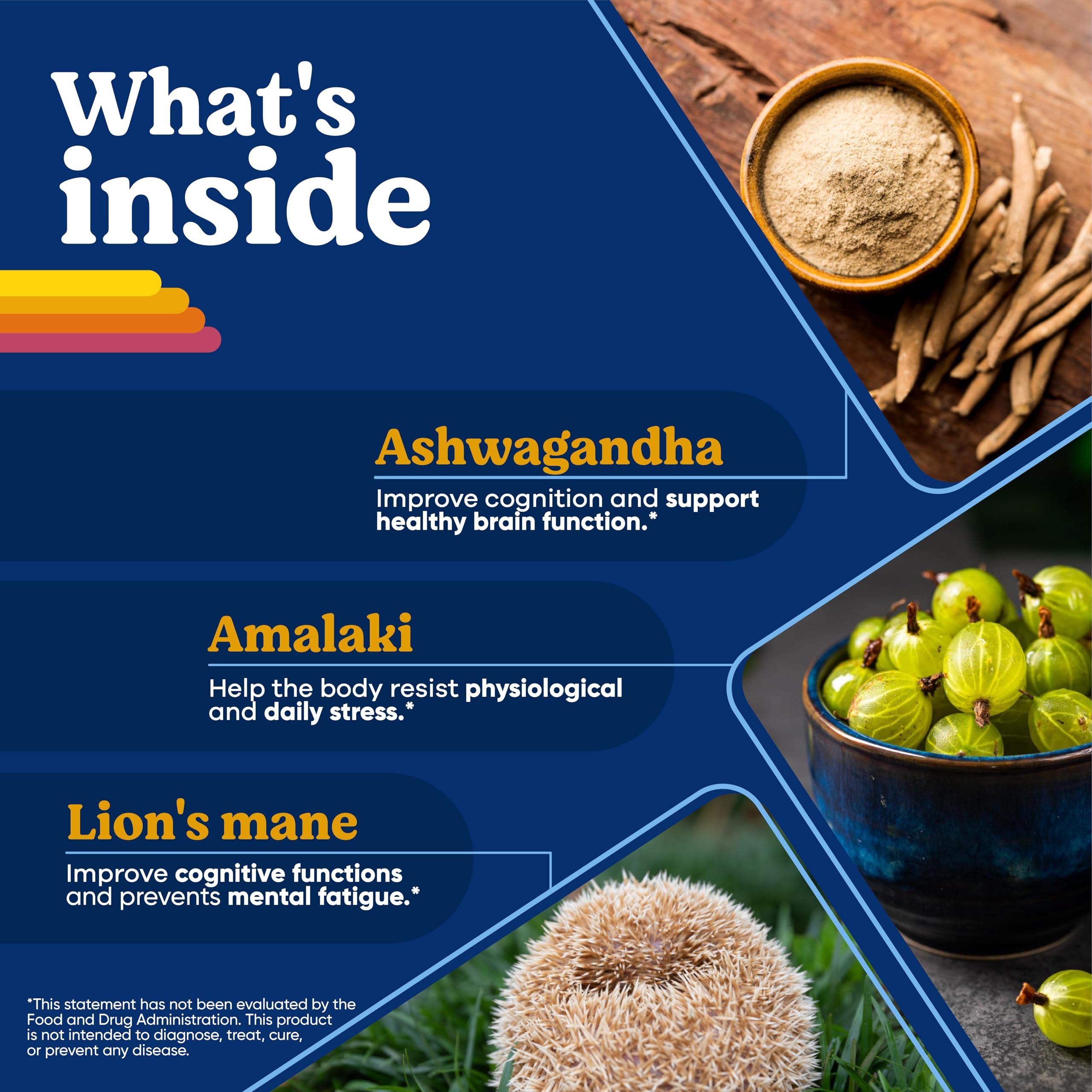 BRIGHTFULL BRIGHTFULL Focus Sugar Free Dietary Supplement Drink Mix with Ashwagandha, Lions Mane, B Vitamins B1 B2 B3 B5 B6 B12, for Cognitive Performance & Clarity BlackBerry, 21 Day Supply