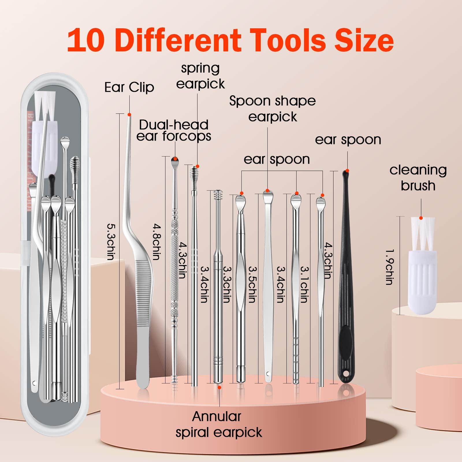 Ear Pick -01 Ear Pick Ear Wax Removal Kit, Ear Cleansing Set, Earwax Remover Tool, Ear Curette Ear Wax Remover Tools with a Cleaning Brush and Storage Box, Medical Grade, for Ear Adult and Kid, Silver, 10 Pcs