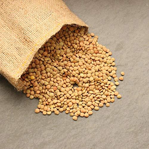 Handy Pantry Organic Dried Green Lentil Sprouting Seed: 8 Oz - Dry Lentils for Planting Garden Seeds, Soup, Cooking or Sprout Salad, Sprouts