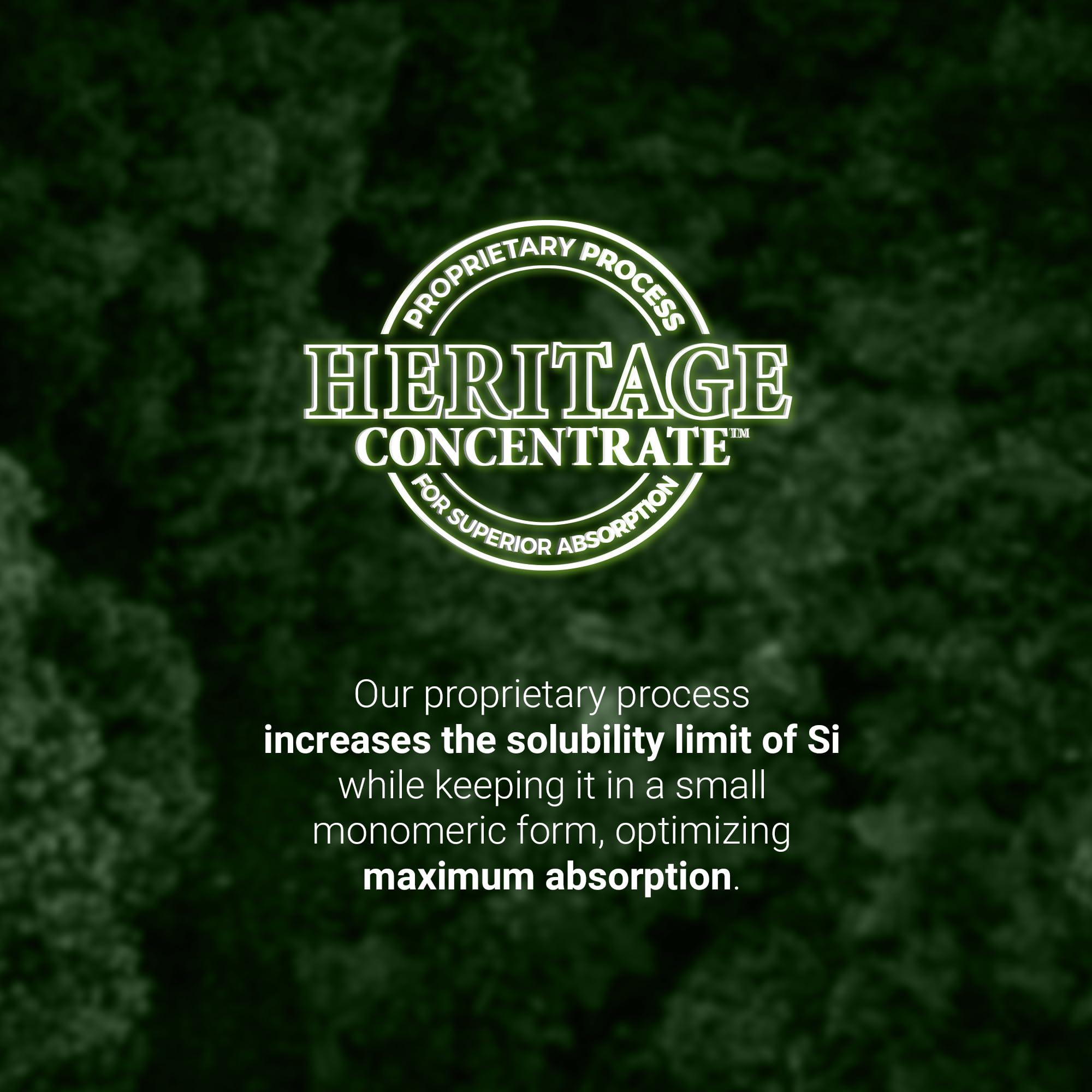 Orgono Living Silica Living Silica Plant Based Collagen Booster | Vegan | Supports Healthy Collagen and Elastin Production for Joint & Bone Support, Glowing Skin, Strong Hair & Nails 500 ml | 16.9 Fl Oz