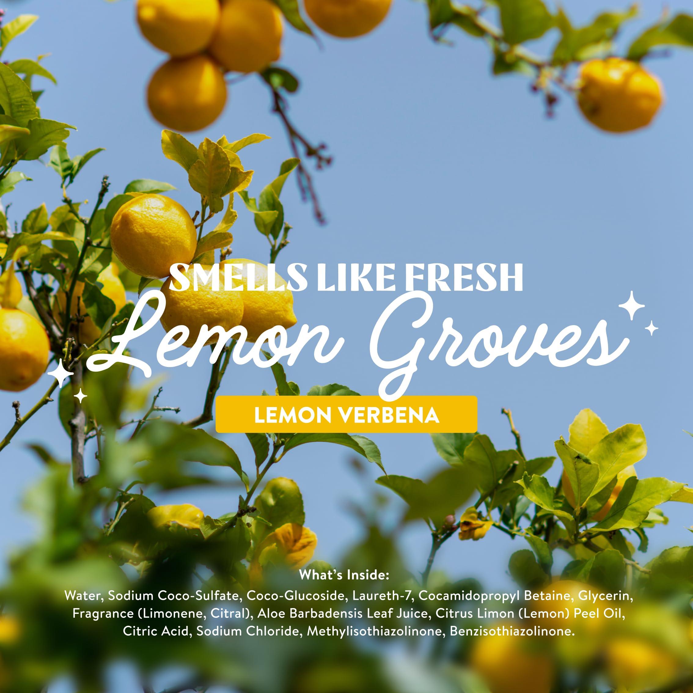 Cleancult Cleancult Dish Soap Liquid Refill (32oz, 1 Pack) - Plant Based Cleaning Power - Dish Soap that Cuts Grease & Grime - Free of Harsh Chemicals - Uses 90% Less Plastic - Lemon Verbena