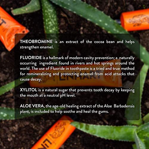 LINHART LINHART Whitening Toothpaste – Teeth Whitening, Enamel Strengthening Toothpaste with Mint Flavor, 3 Pack