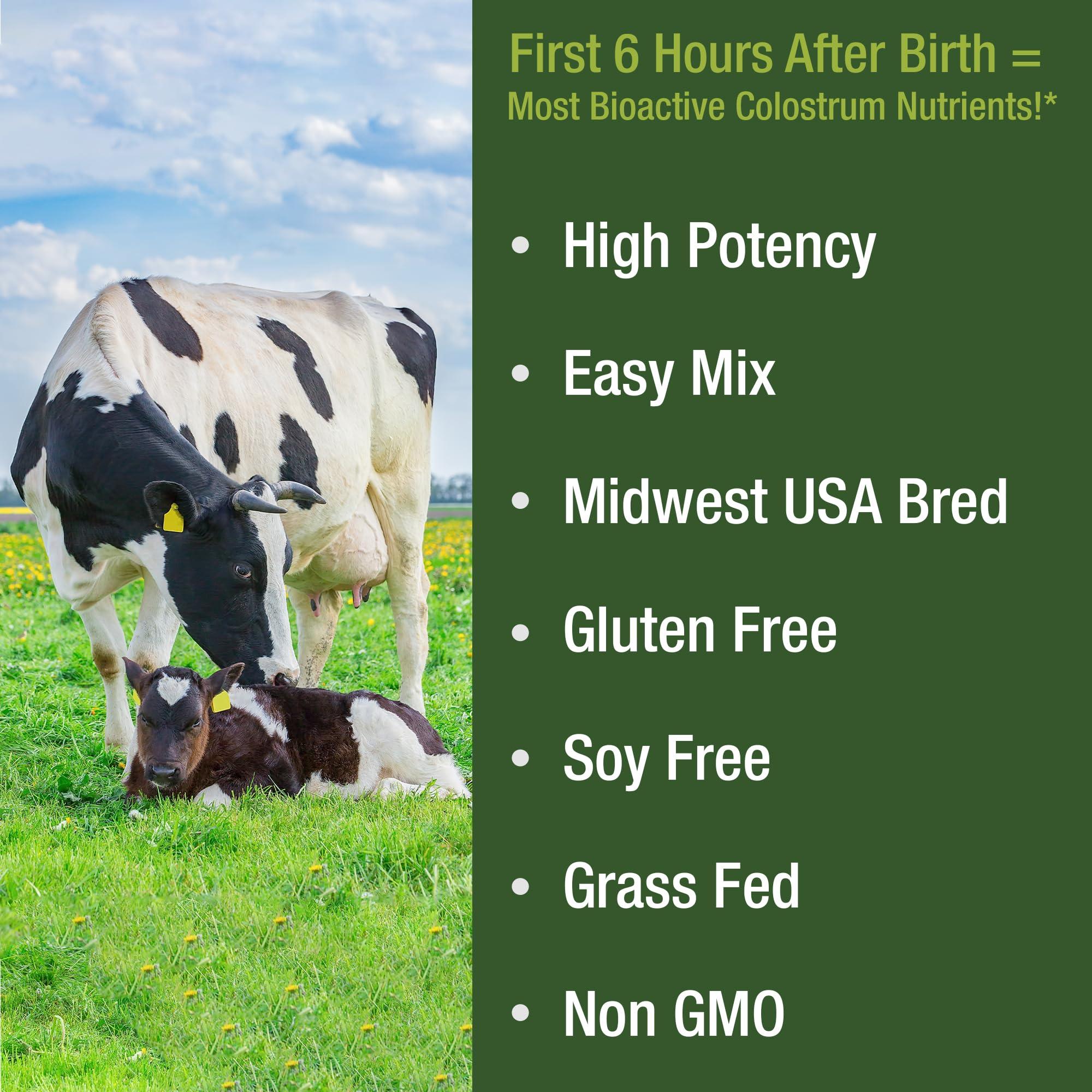 Peak Performance First Milking Colostrum Powder from Grass Fed USA Cows Milked Within 6 Hours of Giving Birth to Get The Most Bioactive Nutrients. High Immunoglobulin Bovine Colostrum Supplement for Humans