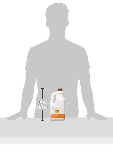 TEA ZONE Tea Zone J1045 Mango Syrup (64oz) for Boba tea, beverages, sweets, ice cream, cocktails blending