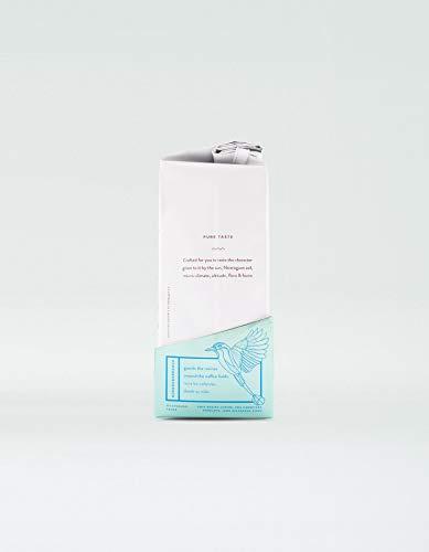 TWIN ENGINE COFFEE Twin Engine Coffee ESTATE BLEND - Breakfast Roast, Whole Bean, Nicaraguan Coffee, 400g 14.1oz | Rich Specialty Grade Coffee packaged at the source |