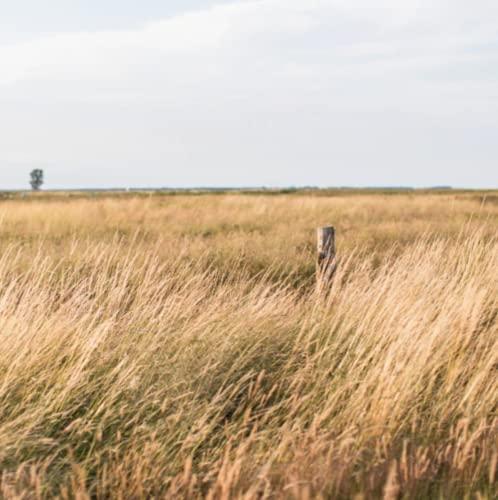 Dempster's Dempster's 100% Whole Grains Multigrain Bread 600g/21.1oz (Shipped from Canada)