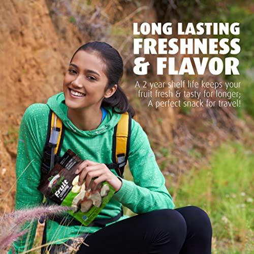 Brothers-ALL-Natural Brothers All Natural, Fuji Apple Freeze Dried Fruit Crisps, Gluten Free, Non-GMO, Nothing Added, 1 oz. Resealable Pouch (Pack of 8)