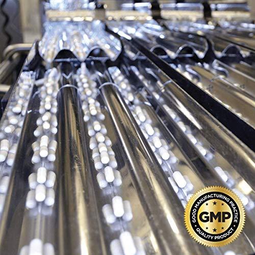 Swanson Swanson Real Food Bone Broth Collagen - Natural Flavor 16.9 oz Pwdr