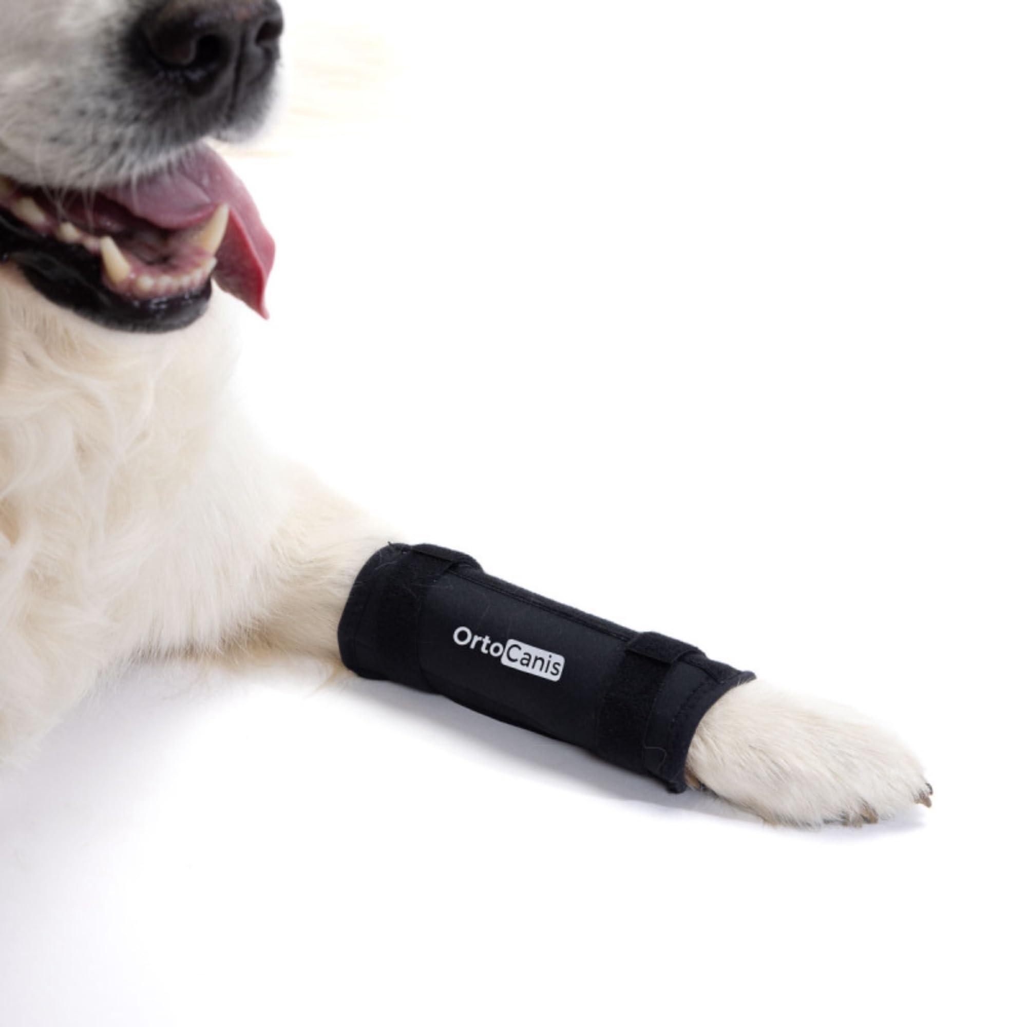 Ortocanis Ortocanis - Carpal Support for Dogs with Arthrosis, Ligament Injuries or Unstable Carpus, Size XL