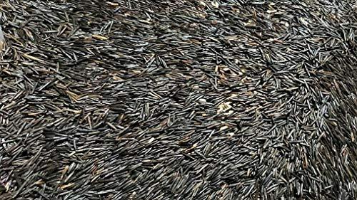 Sanmac Farms Organic Wild Rice (5)