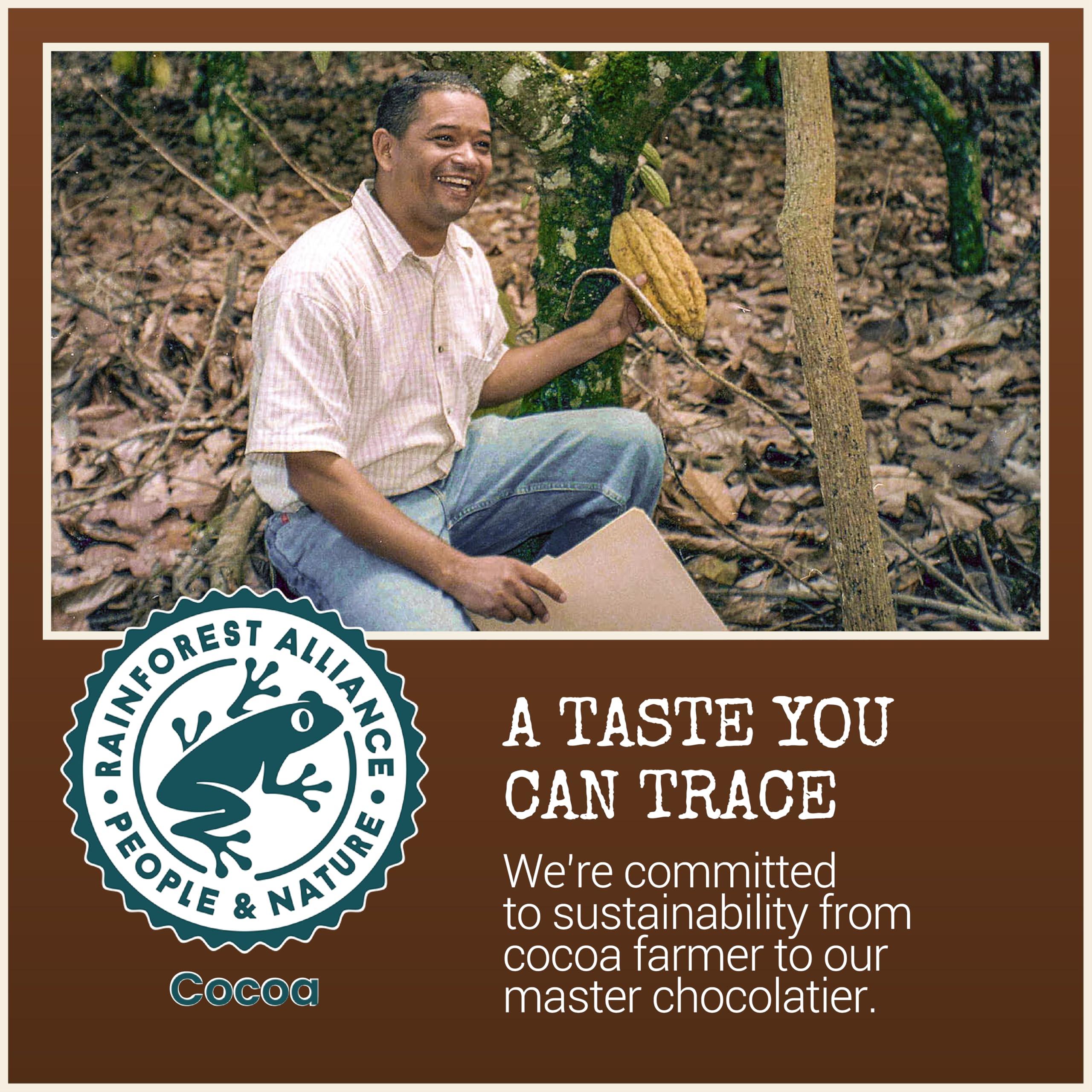 Chocolove Chocolove Coffee Crunch Dark Chocolate Bars | 55% Cocoa | Crunchy Coffee Bean Bits | Smooth & Sweet | Premium Belgian Dark Chocolate | Non GMO, Rainforest Alliance Certified, 3.2oz Bar (12 Pack)