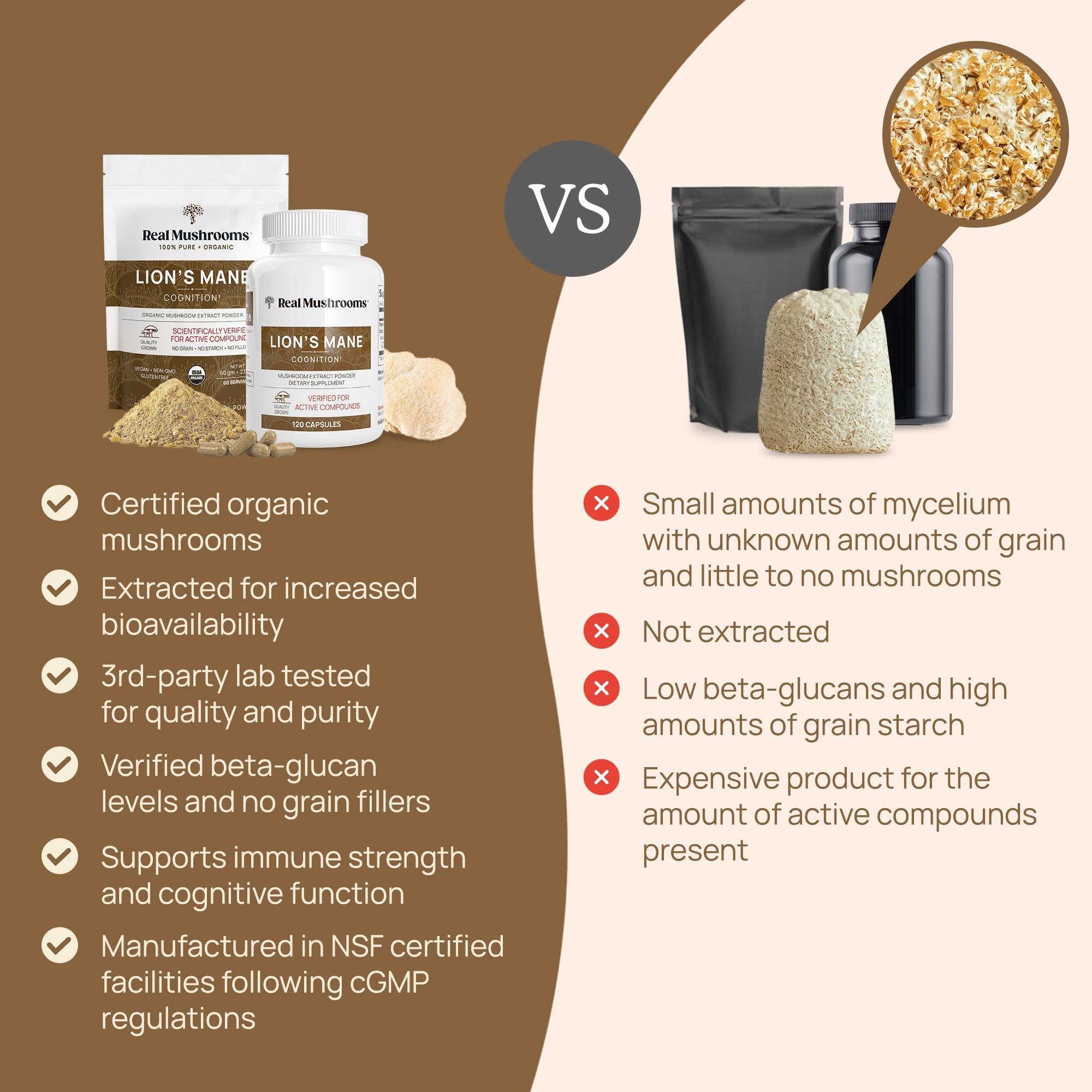 Real Mushrooms Real Mushrooms Hot Chocolate Mix (15 Servings) and Lions Mane (60 Servings) Powder Bundle - Mushroom Powder Supplement for Daily Immunity & Cognition Support - Gluten-Free, Non-GMO, Vegan