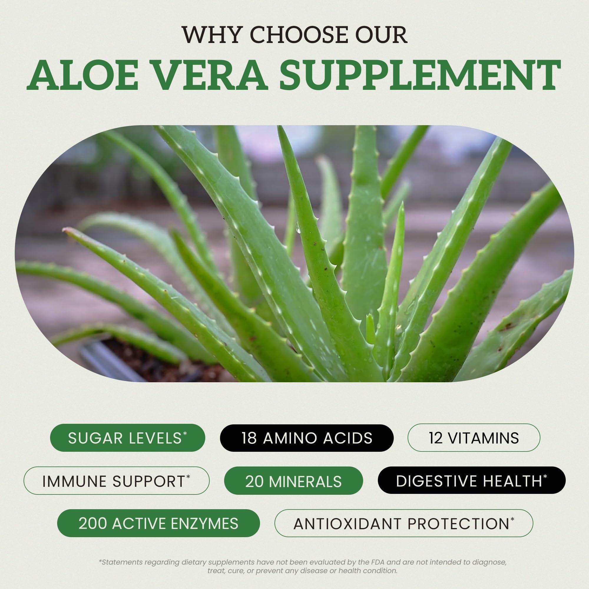 EARTHEN supplements Aloe Vera Supplement | Equivalent to 20,000mg | Made with Organic Ingredients | RAW All Natural | Non-GMO