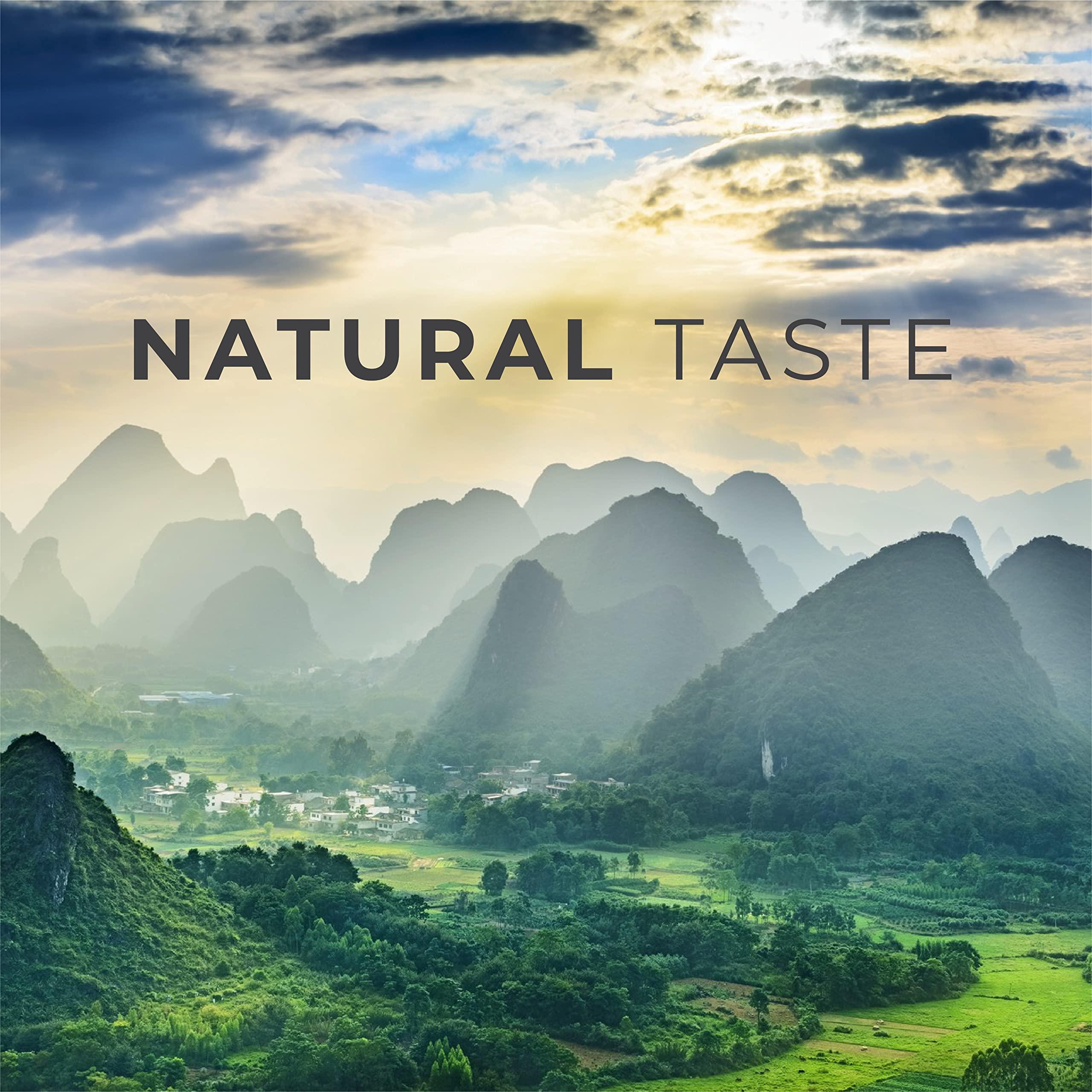 Gaudum MONK FRUIT SWEETENER LIQUID - 100% MONK FRUIT EXTRACT - No Erythritol, Zero Calories & Sugars, No added water, Keto-friendly, Designed for Tea Lovers