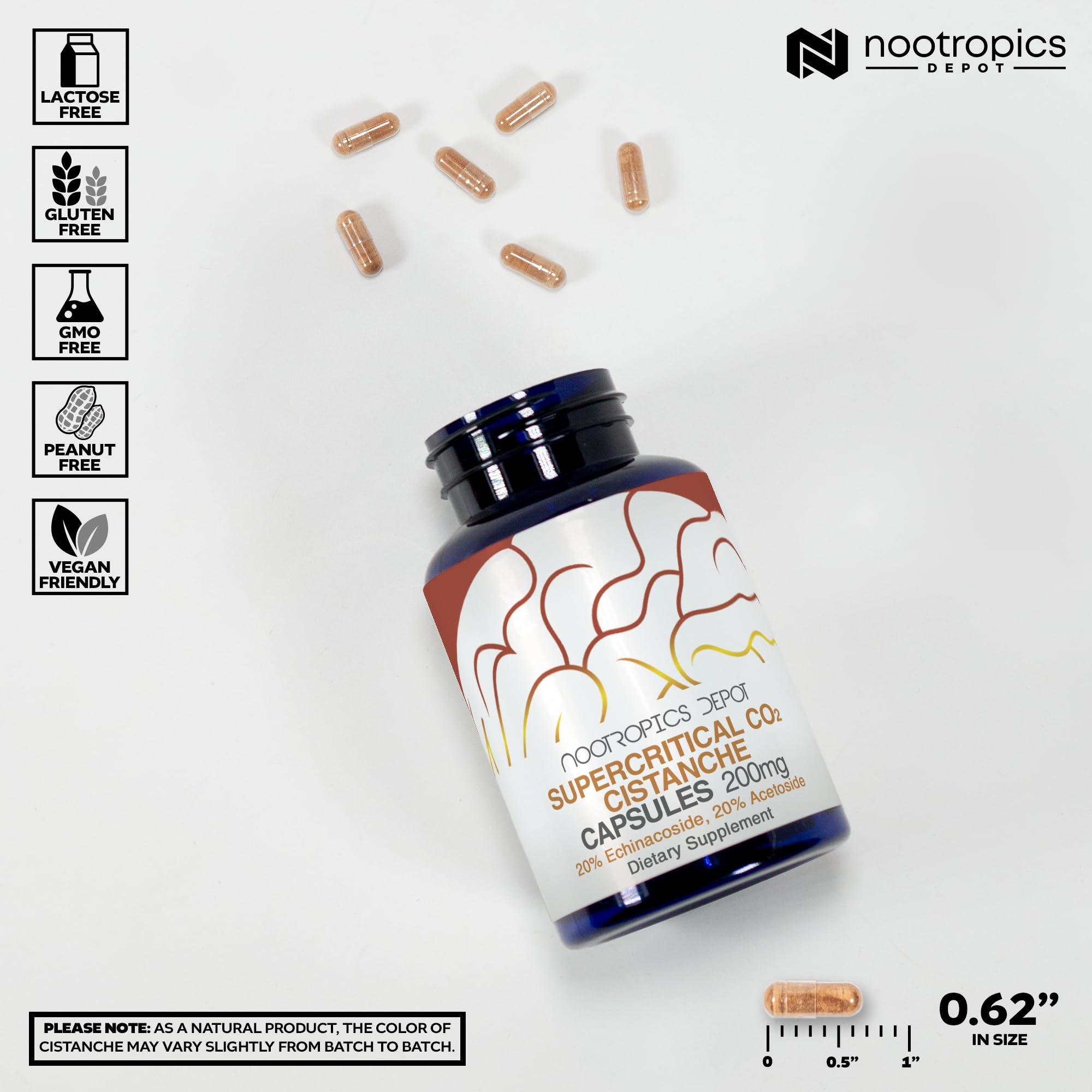 Nootropics Depot Nootropics Depot Cistanche Supercritical CO2 Extract Capsules | 20% Echinacoside + 20% Verbascoside (Acetoside) | 60 Count