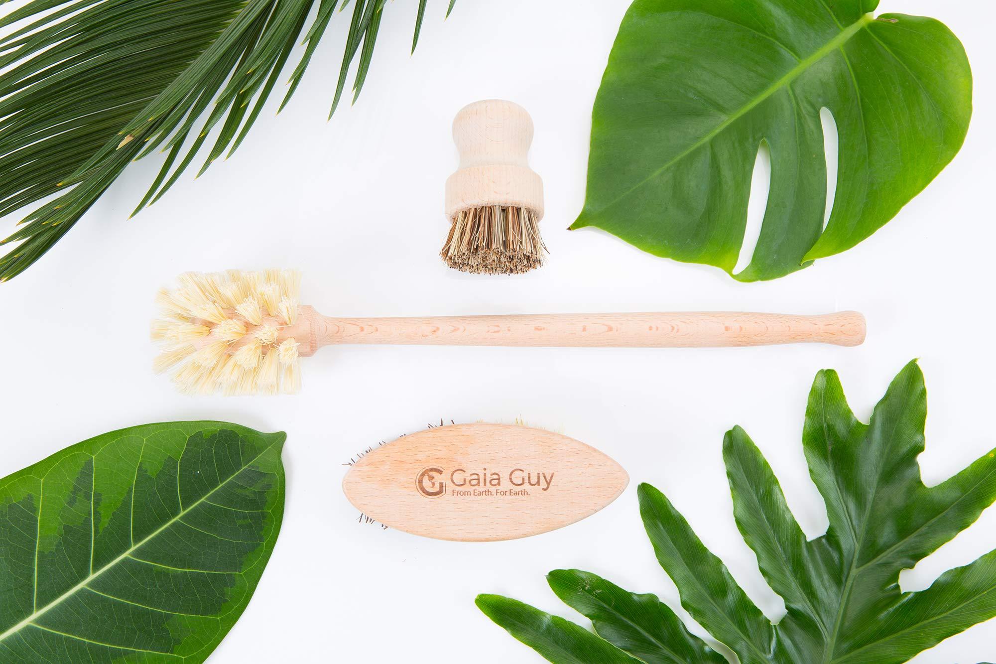 Gaia Guy Zero Waste Kitchen and Bath Set - Wood Handled Brushes with Natural Bristles and Loofah Sponges