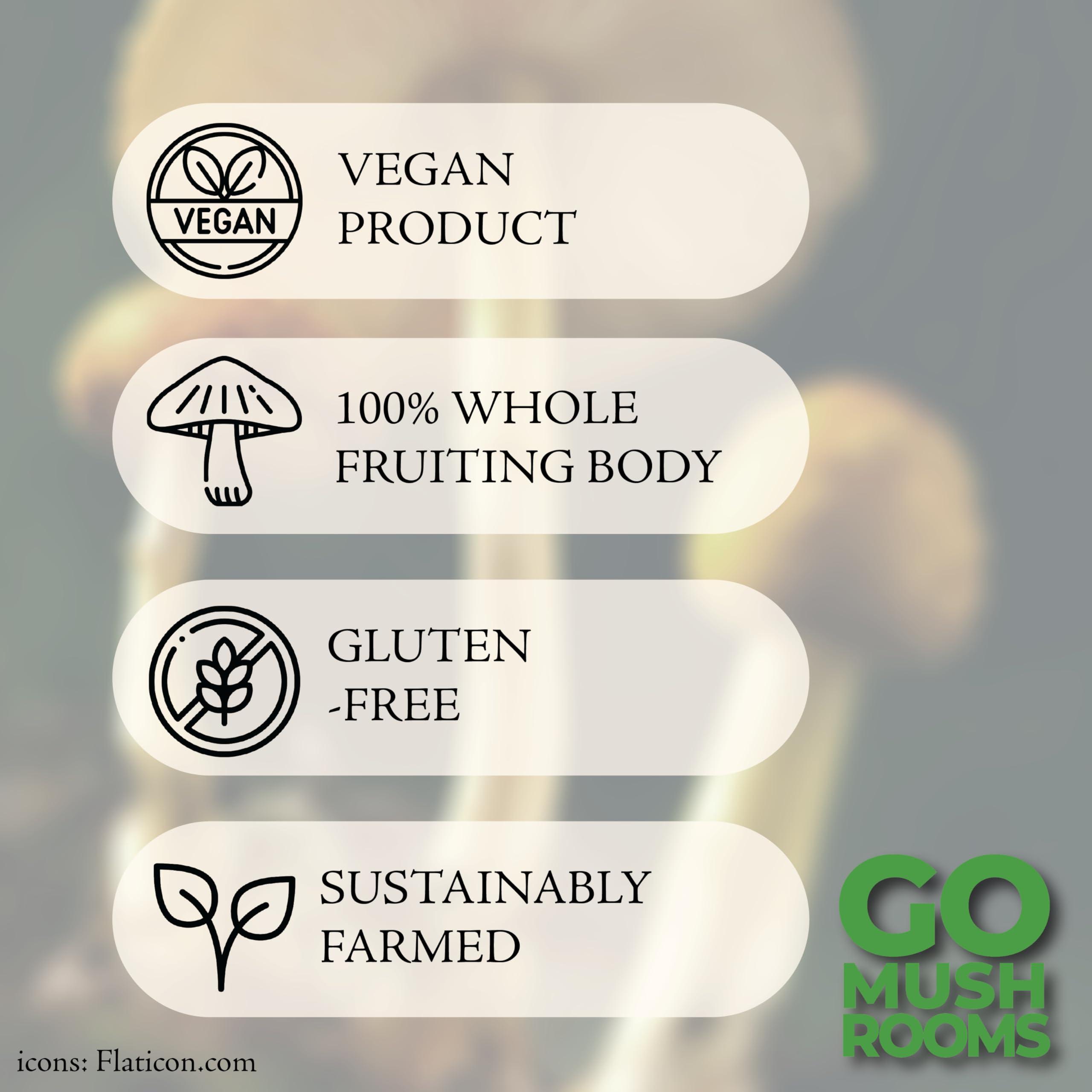 GO Mushrooms GO Mushrooms LionS Mane Tincture - Dual Extracted Fruiting Body Mushroom Supplement for Focus & Memory - Lions Mane Immune & Nervous System Support - 2 fl oz (60 Servings)*