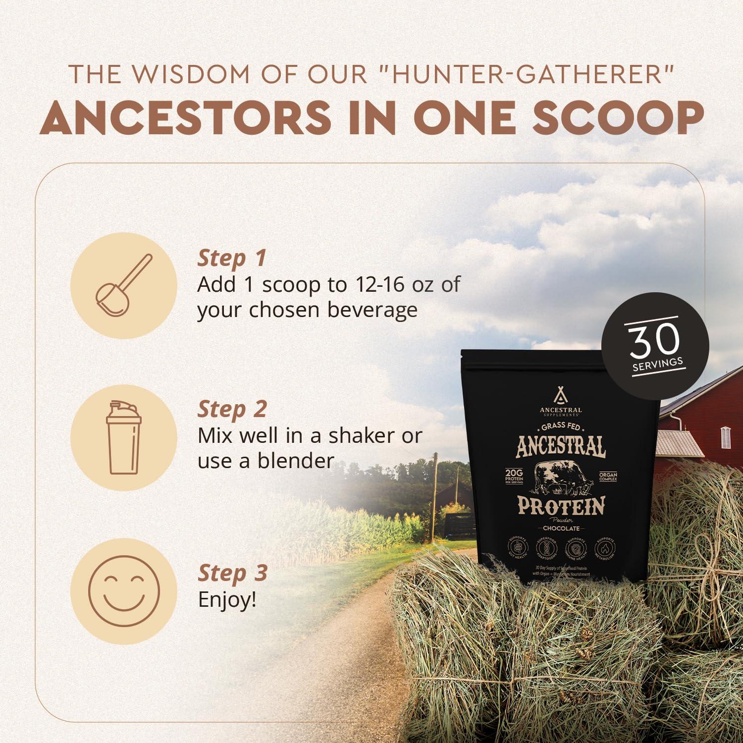 Ancestral Supplements Ancestral Supplements Grass Fed Protein Powder, Chocolate, Beef Bone Broth Based w/Beef Organs & Organic Mushrooms, Gut Health Support, High Protein Supplement, 20g Protein Per Serving, 30 Day Supply