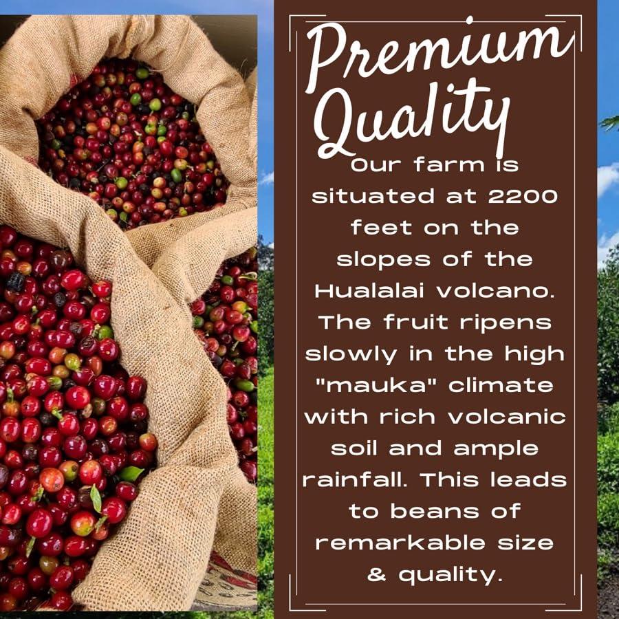 Kona Earth Kona Earth - Private Estate Farm Fresh, 100% Kona Coffee, Medium Dark Roast Coffee, Single-Estate Grown Micro-Batch-Roasted Whole Coffee Beans, 5 lbs. (Pack of 1)