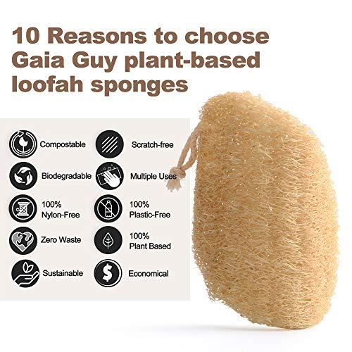 Gaia Guy Zero Waste Kitchen and Bath Set - Wood Handled Brushes with Natural Bristles and Loofah Sponges