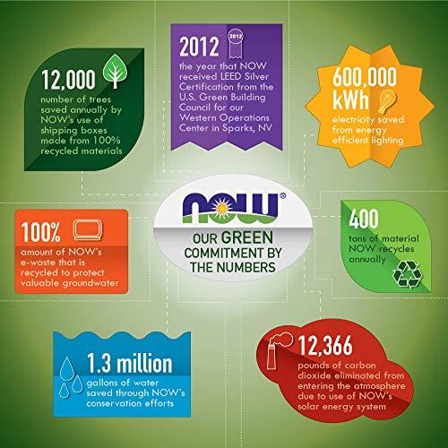 NOW NOW MSM 1000mg, 400 Veg Capsules (Pack of 2) Methyl-Sulphonyl-Methane, Made in USA, Sulfur Supplement, Joint Health, Non-GMO, Vegan/Vegetarian Friendly