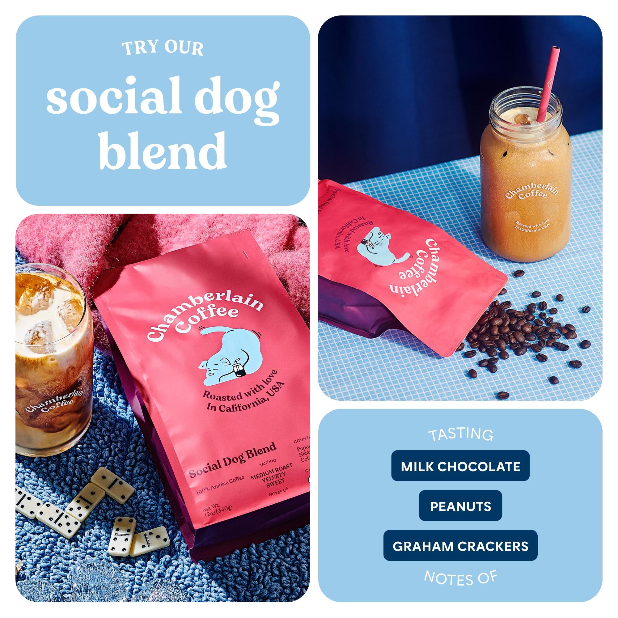 Chamberlain Coffee Chamberlain Coffee Social Dog Blend - Full Bodied, Medium Roast Coffee Beans with Notes of Milk Chocolate, Peanuts, Brown Sugar & Graham Crackers - Whole Bean Specialty Coffee Freshly Roasted In California - 12 oz