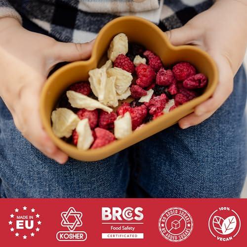 SUMMMER Freeze Dried Fruit Mix - 12 Dried Fruit Snacks Individual Packs Strawberry, Raspberry, Pineapple, Mango, Banana, Blueberry, Apple - No Added Sugar, 100% Natural Freeze Dried Snacks