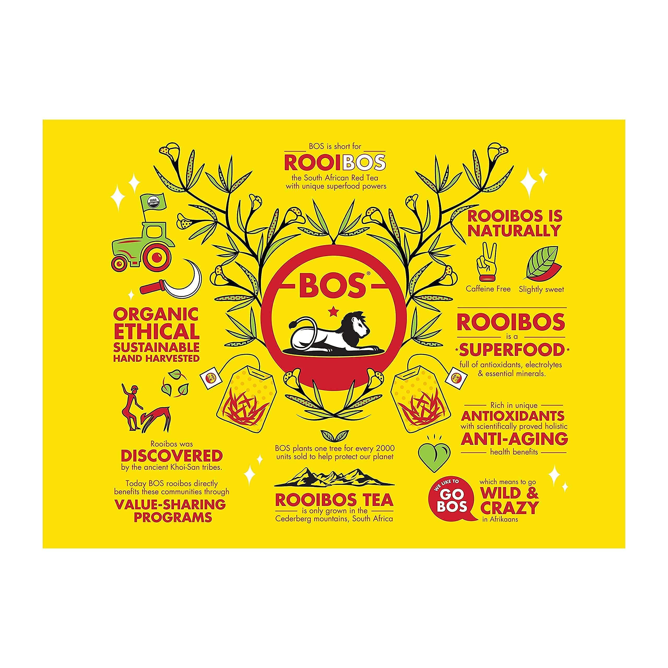 BOS BOS Rooibos Tea Bags | 100 Bags | Organic, Caffeine Free, Naturally Sweet, Antioxidant-Rich, Herbal, Red Rooibos Tea | From South Africa