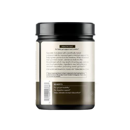 TERRA ORIGIN TERRA ORIGIN Healthy Gut Chocolate | 30-Servings with L-Glutamine, Zinc, Glucosamine, Slippery Elm Bark, Marshmallow Root and More!