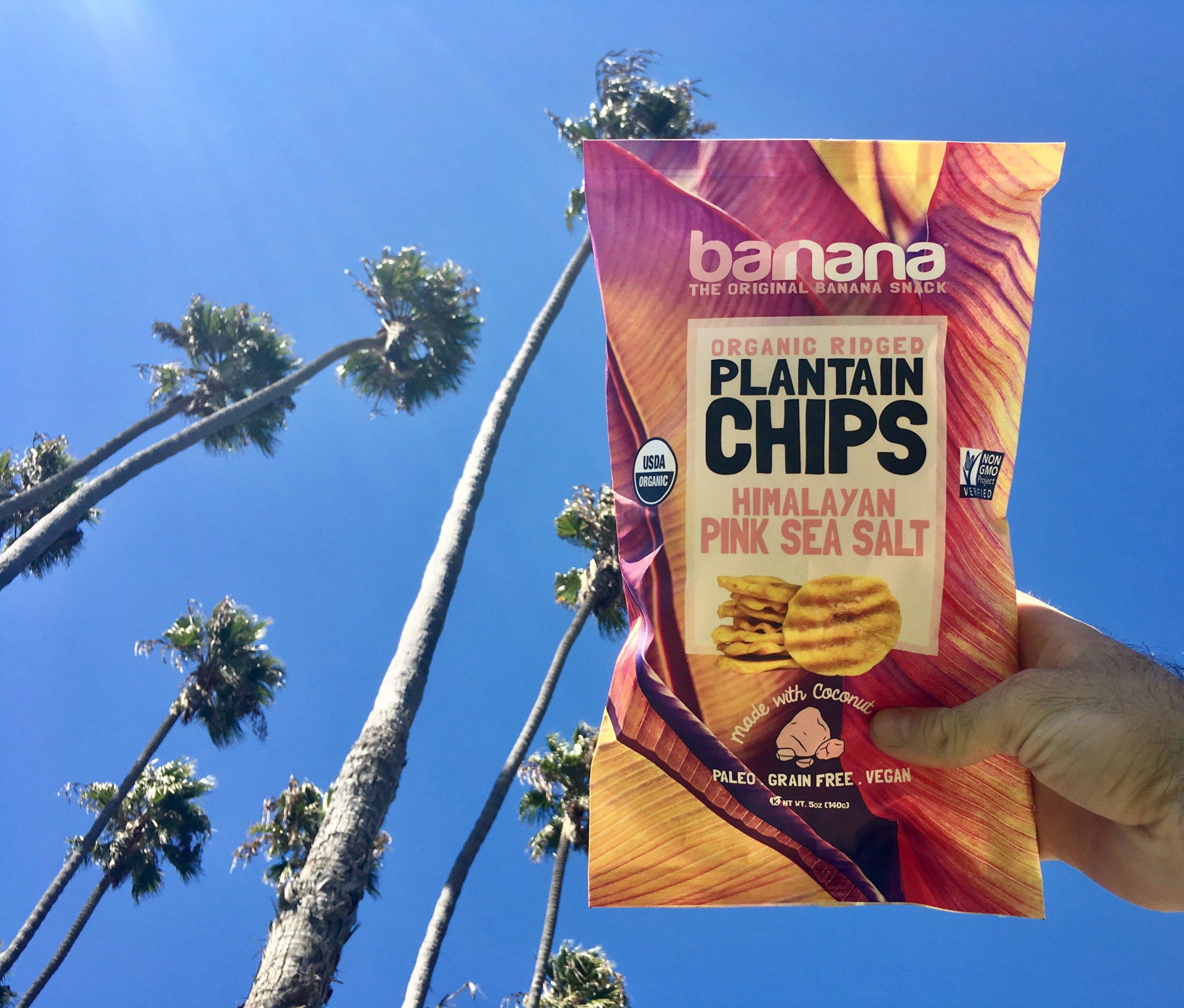 Barnana Barnana Organic Plantain Chips, Himalayan Pink Salt, Paleo, Vegan, Grain Free Chips,5 Ounce (Pack of 3)