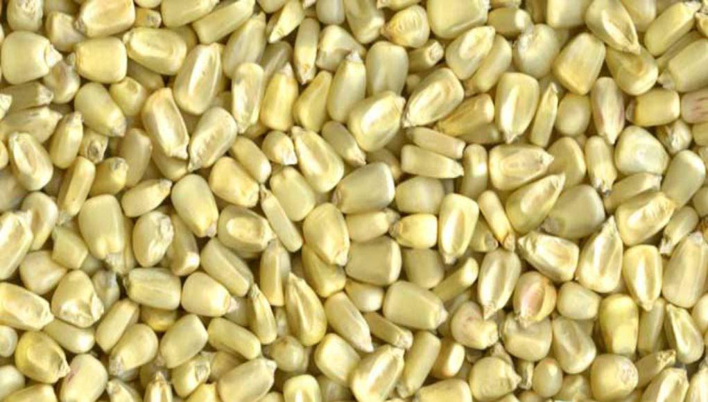 Africana Mahindi Kenyan Whole White Corn