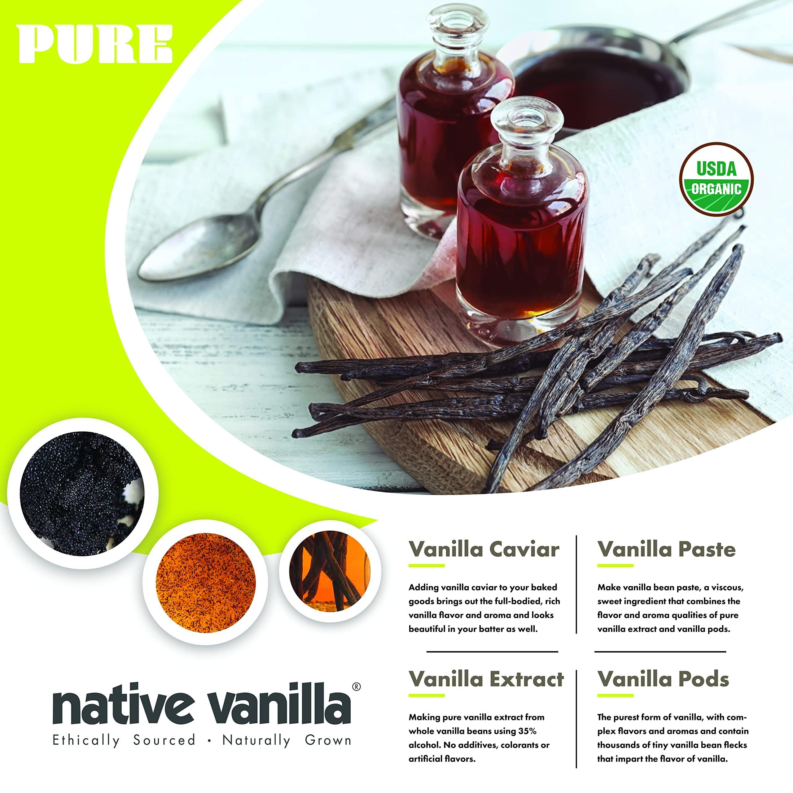 Native Vanilla 50 Organic Madagascar Vanilla Beans - Gourmet Grade A Premium Vanilla Pods - For Vanilla Extract & Baking - For Cooking, Desserts & More - 100% Vegan & Kosher - Non-GMO & Gluten-Free - Native Vanilla