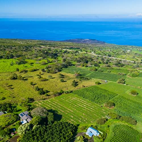 Greenwell Farms Greenwell Farms 100% Hawaiian Kona Coffee - French Roast, Whole Bean, 16oz