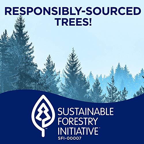 SPARKLE Sparkle, Paper Towels, 6 Count (Pack of 1)