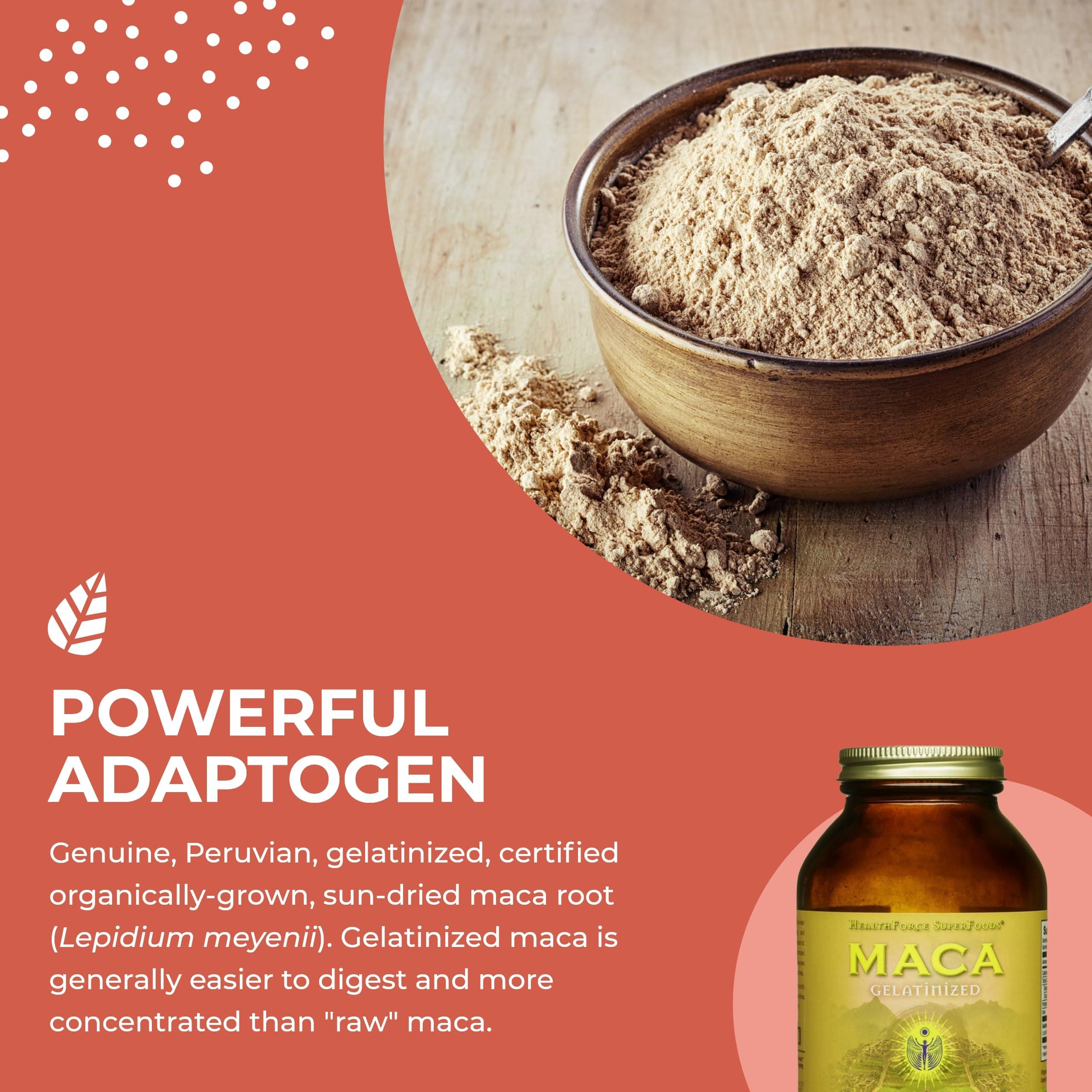 HEALTHFORCE SUPERFOODS Healthforce Superfood Gelatinized Maca - 8 Oz Powder