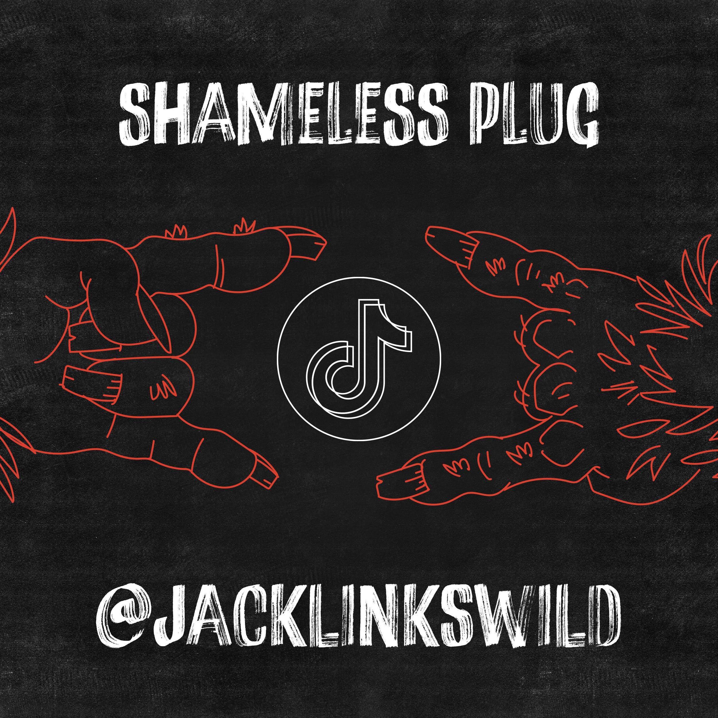 Jack Link\'s Jack Link\'s Wild Beef Sticks Variety Pack -- (10) Original & (10) Teriyaki Protein Snack, Idividually Wrapped, No Added MSG -- 1 Oz. (20 Count)