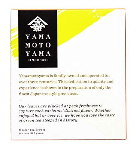 Yama Moto Yama Yamamotoyama Matcha Genmai Pyramid Green Tea Bag, 10 ct. Box (Pack of 6), Green Tea with Roasted Rice