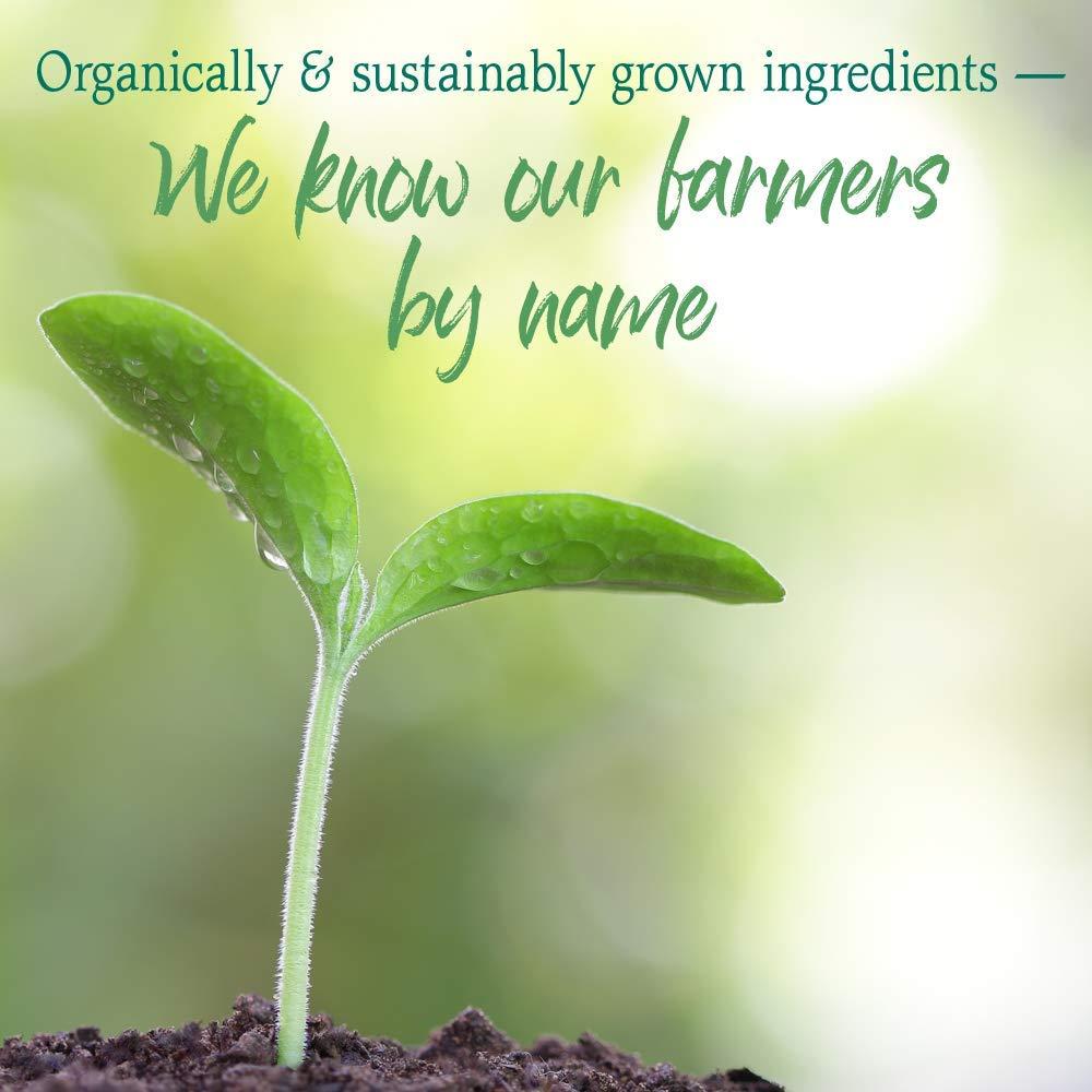 Garden of Life Garden of Life Raw Organic Perfect Food Green Superfood Juiced Greens Powder - Apple Flavor, 30 Servings - Vegan Gluten Free Whole Food Dietary Supplement, Greens Plus Probiotics & Enzymes