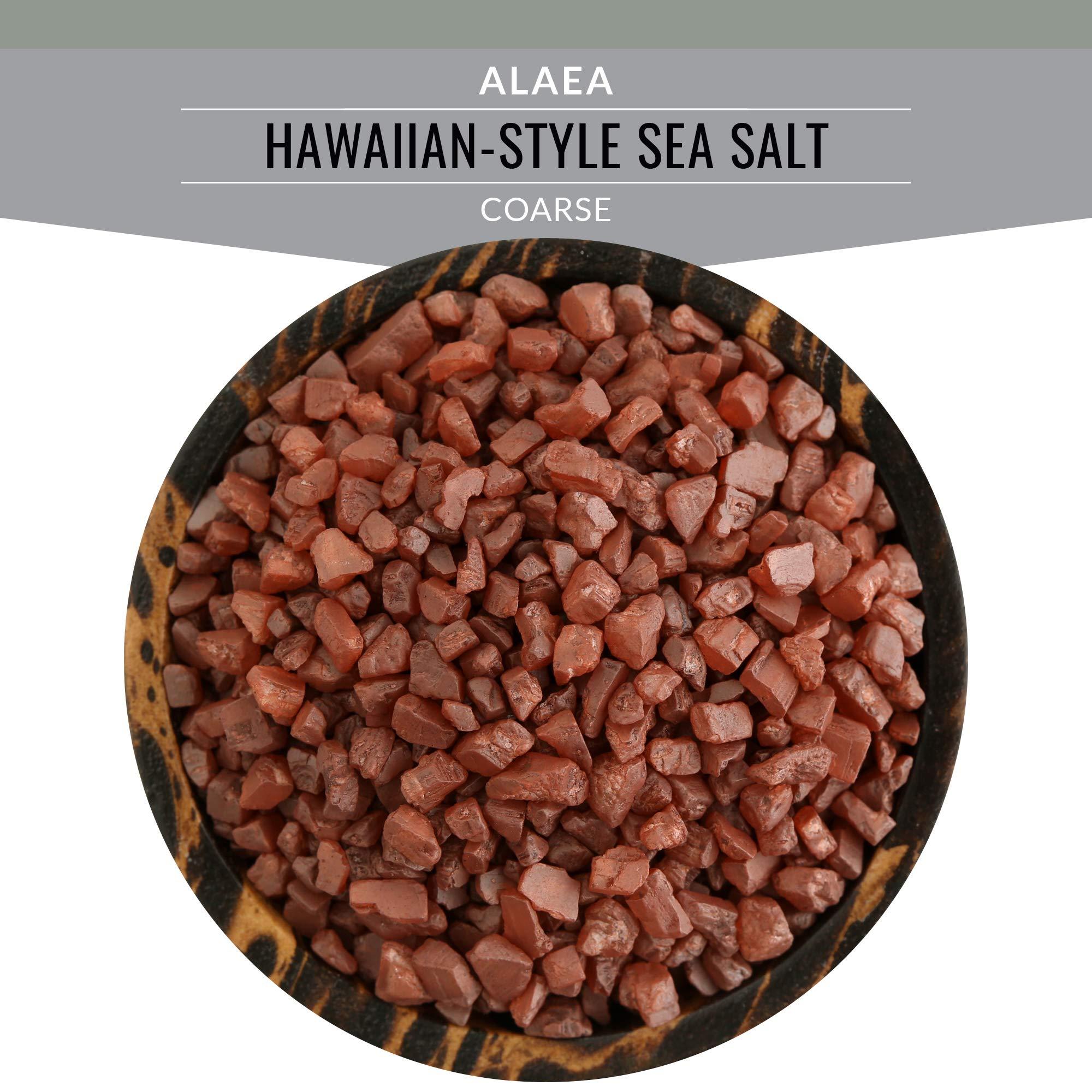 SaltWorks SALTWORKS Artisan Salt Company Alaea Red Hawaiian-style Sea Salt, Coarse Grain, Pour Spout Pouch, 16 Ounce